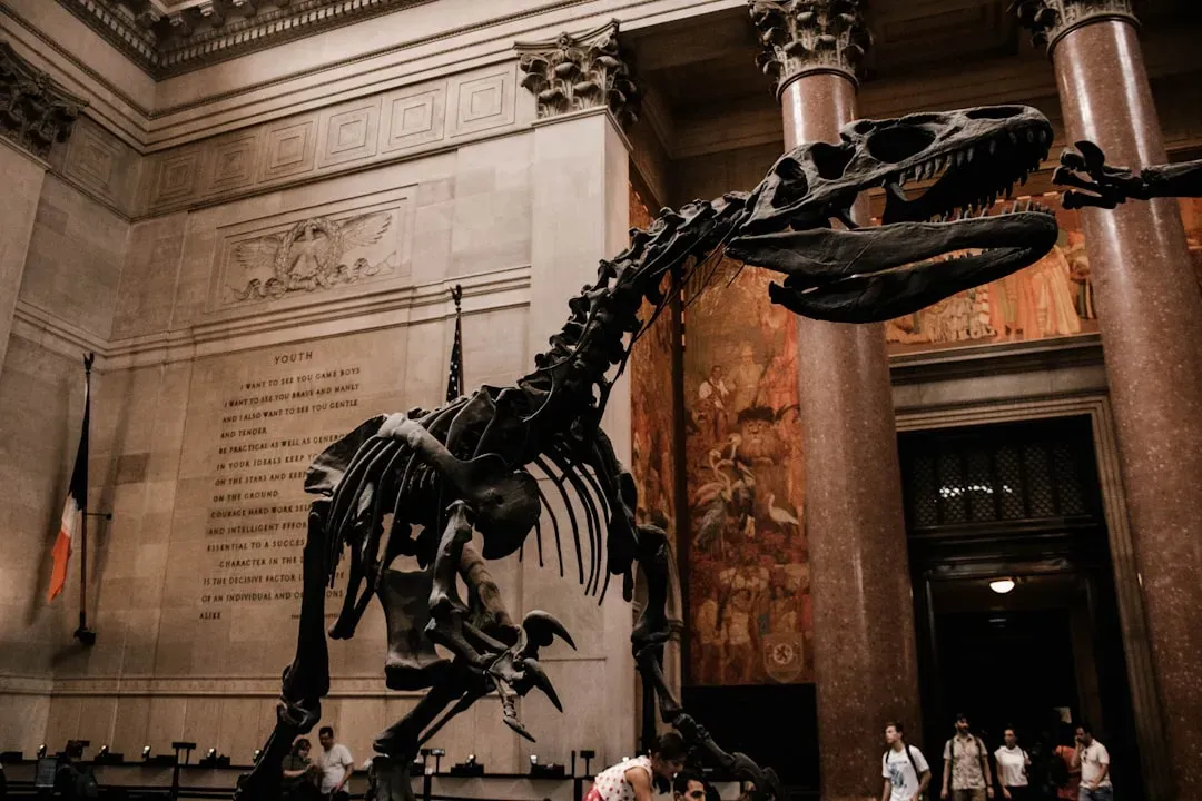 #8 - Museums Are Structurally Built to Lag Behind the Science (Image Credits: Unsplash)