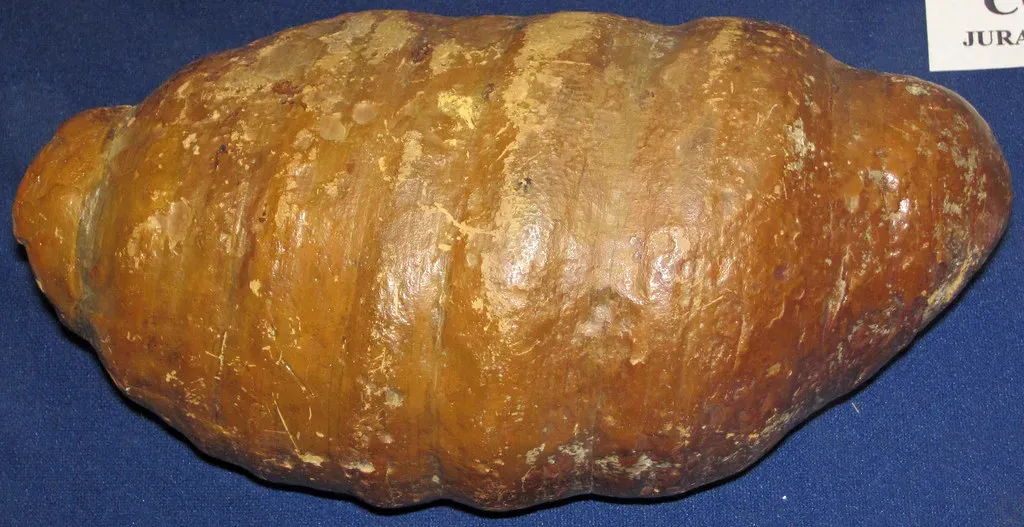 From Poop To Policy: What Ancient Diets Can Teach Modern Eaters (James St. John, Flickr, CC BY 2.0)