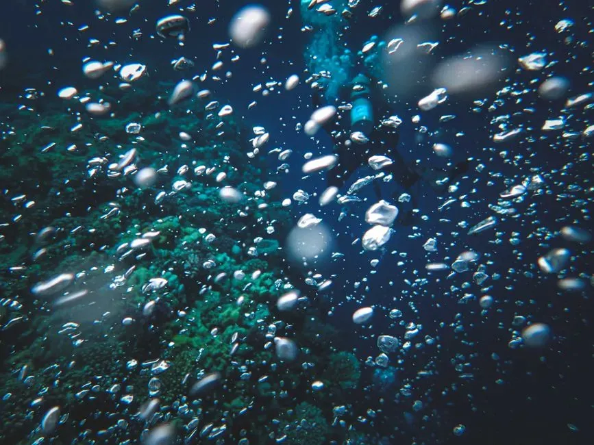 3. Microbes Living Deep Inside Oceanic Rocks (Image Credits: Pexels)