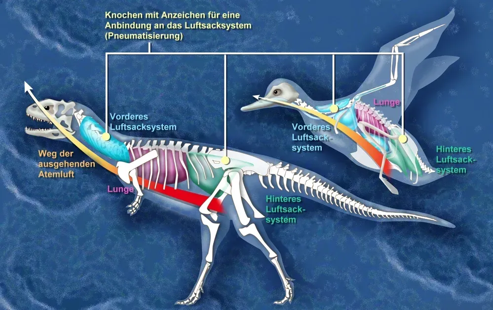 Why This Matters More Than You Think (Image Credits: Wikimedia)