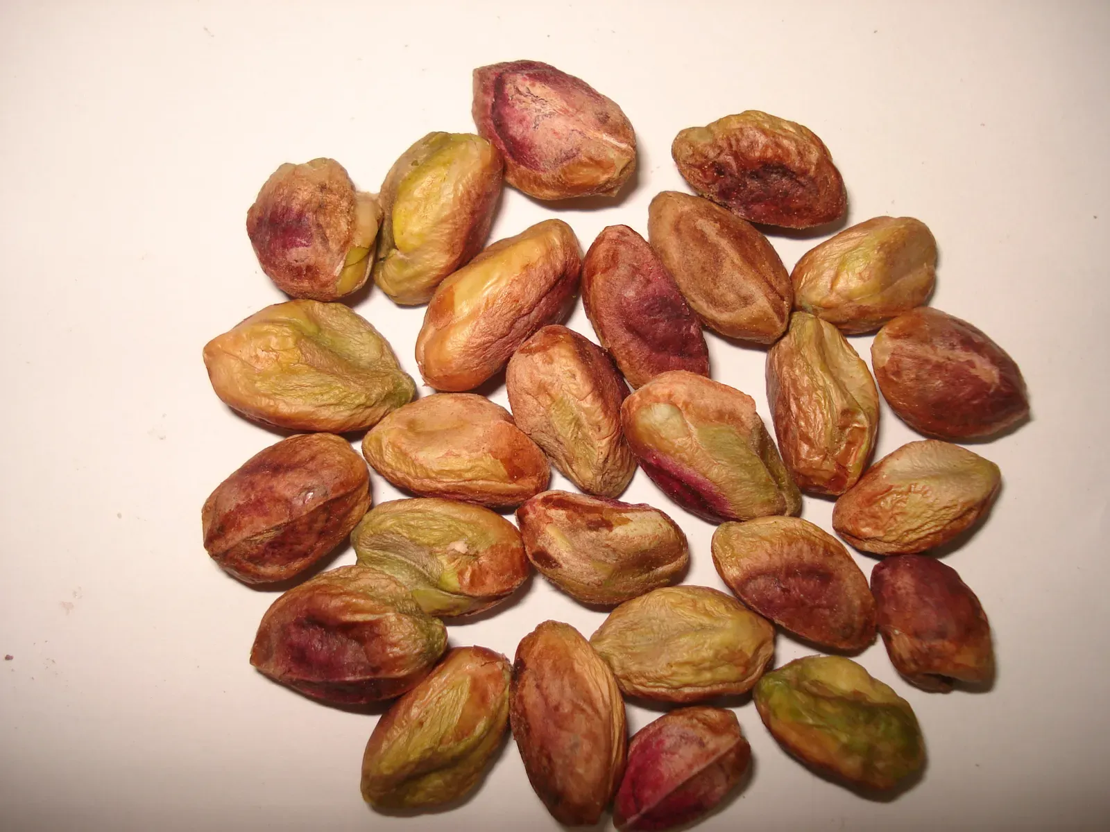 #7 - Terebinth (Wild Pistachio): An Oily, Tannic Staple (By Miansari66, Public domain)