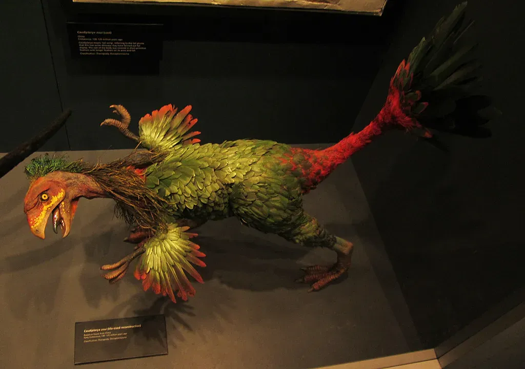 5. Caudipteryx: The Dinosaur That Looks Almost Like a Bird (Newtown grafitti, Flickr, CC BY 2.0)