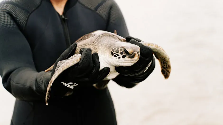 3. You Are Deeply Driven by Conservation Concerns (Image Credits: Pexels)