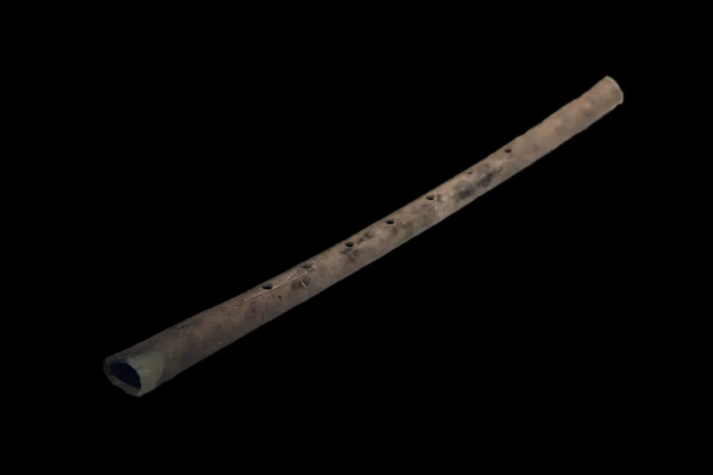 How Do You Prove a Bone Is a Flute and Not Just Dinner Leftovers? ([1], CC BY-SA 4.0)