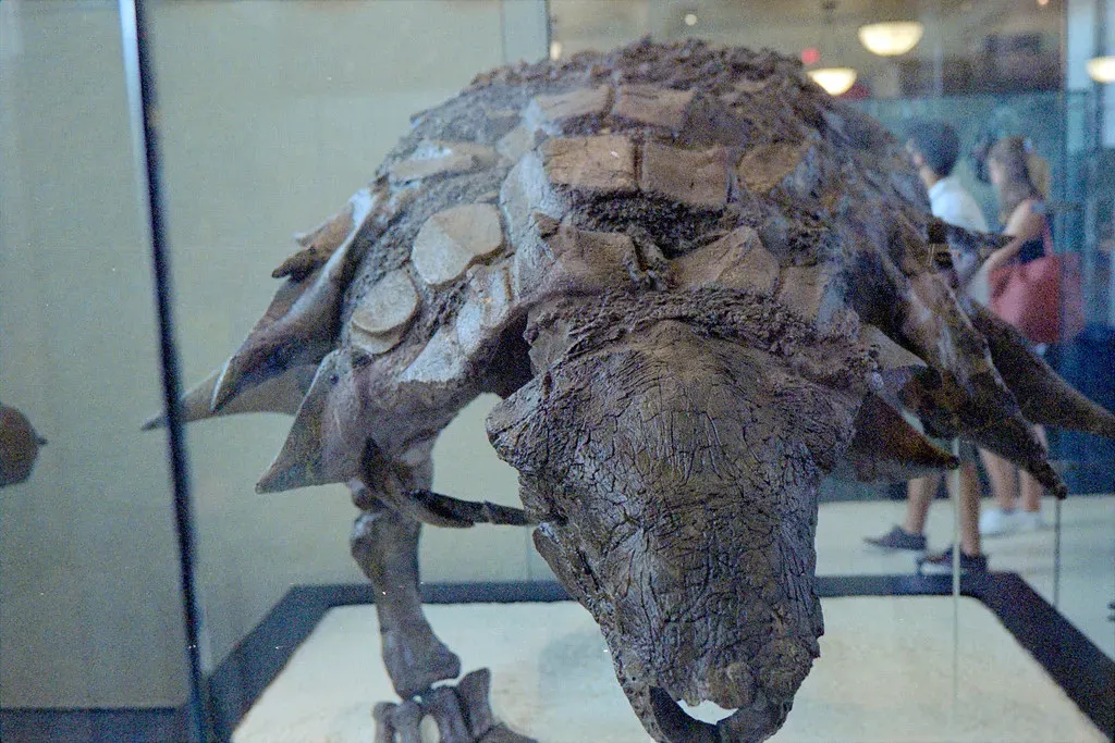 Armored Tanks That Walked on Four Legs (Image Credits: Flickr)