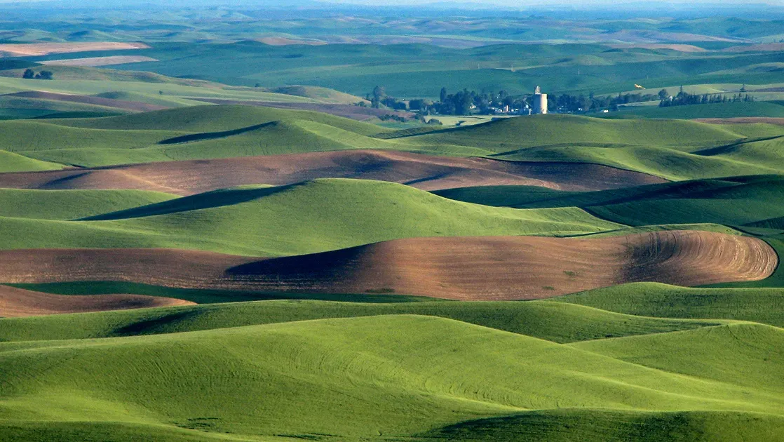 #10 The Columbia River Basalt and Palouse Hills: Lava Floods and Dust Storms That Have Stopped (Hills, grain elevator, and little yellow plane (really), CC BY-SA 2.0)