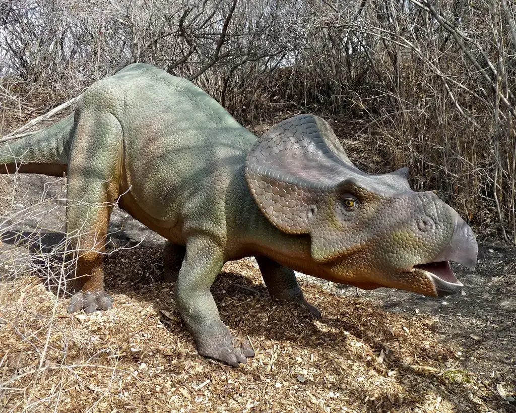 Protoceratops: Age-Based Grouping Throughout Their Lives (Image Credits: Flickr)