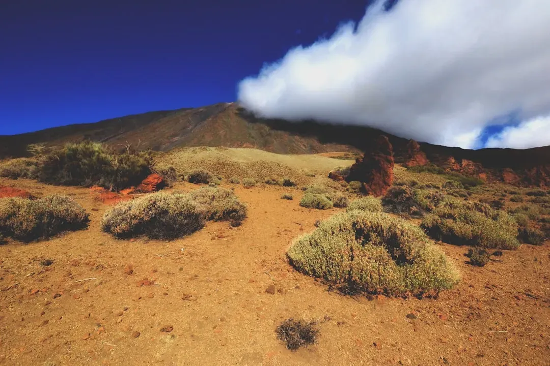 Conclusion: The Earth Is Still Writing Its Story (Image Credits: Unsplash)