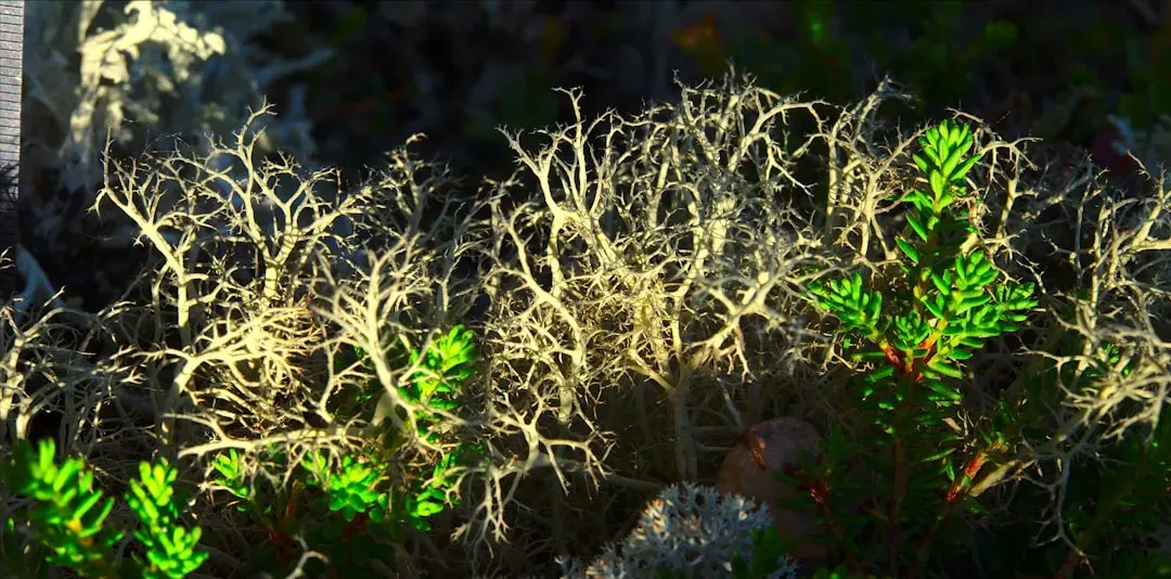 The Revolutionary Partnership Between Plants and Fungi (Image Credits: Unsplash)