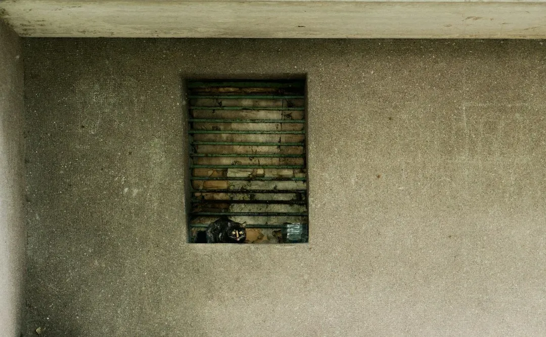 #13: Cultural Layers, Superstitions, and Personal Secrets (Image Credits: Unsplash)