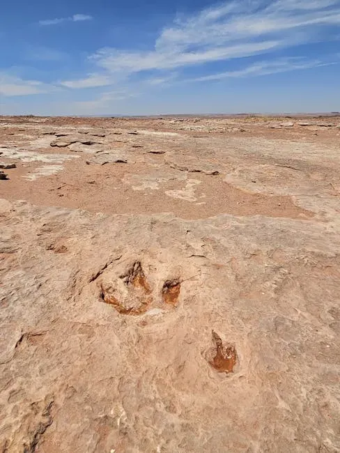 The Bolivia "Dinosaur Freeway": A Prehistoric Highway Unlike Any Other (Image Credits: Pexels)