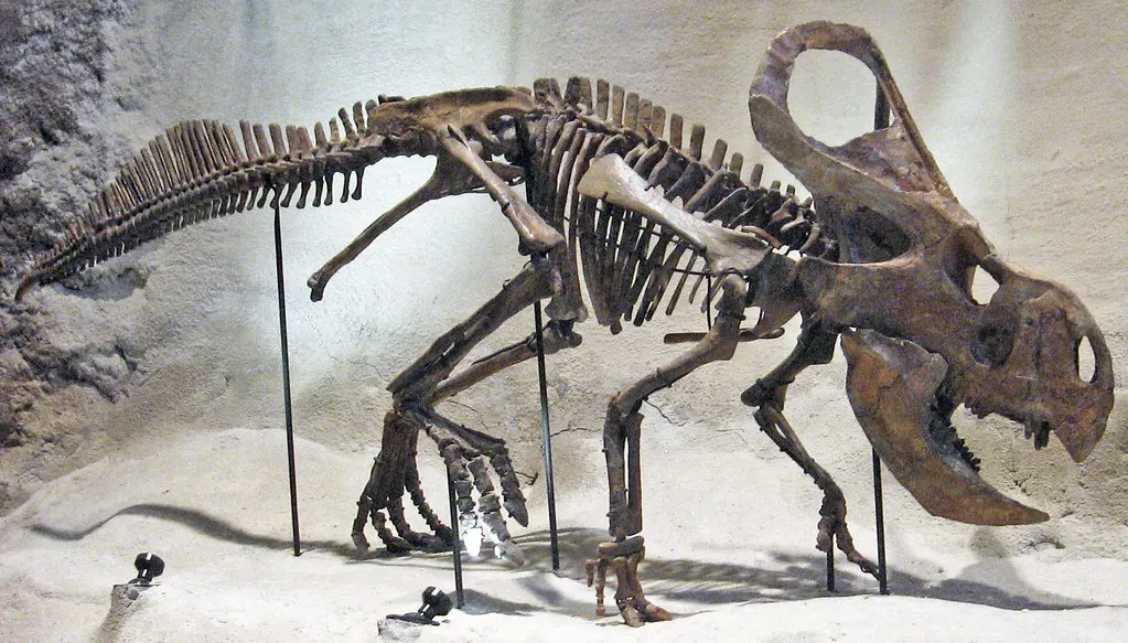 Perfectly Preserved Dinosaur Fossils: Time Capsules in the Sand (James St. John, Flickr, CC BY 2.0)