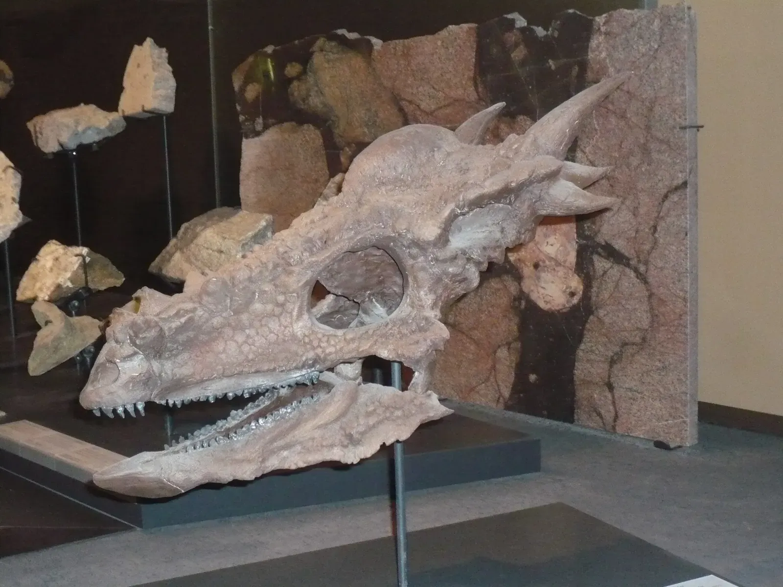 #10 - Dracorex and Stygimoloch, the Dome-Headed Dinosaurs That Were Secretly Teenagers (Own workTransferred from de.wikipedia to Commons by Ireas using CommonsHelper.(Original text: , selbst fotografiert), CC BY-SA 3.0)