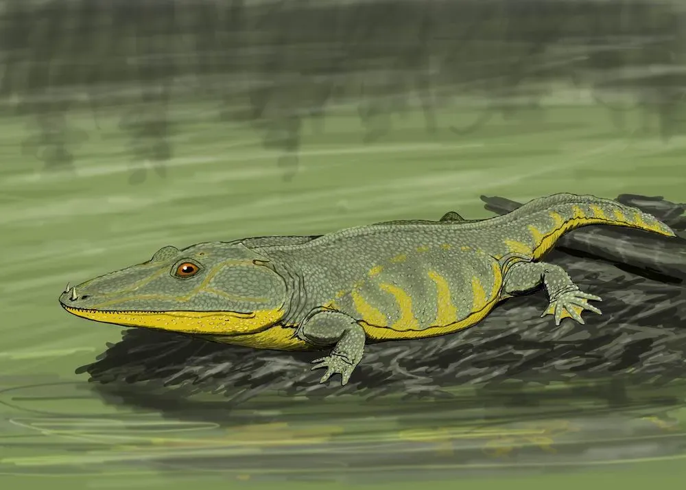 5. The Warm, Wet Climate Theory (Transferred from ru.wikipedia to Commons., Public domain)