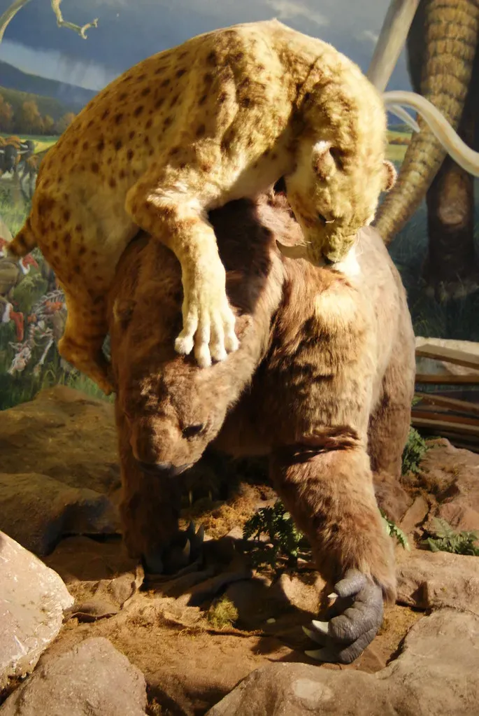 2. They were built like furry tanks, not sleek sprinters (Dallas Krentzel, Flickr, CC BY 2.0)