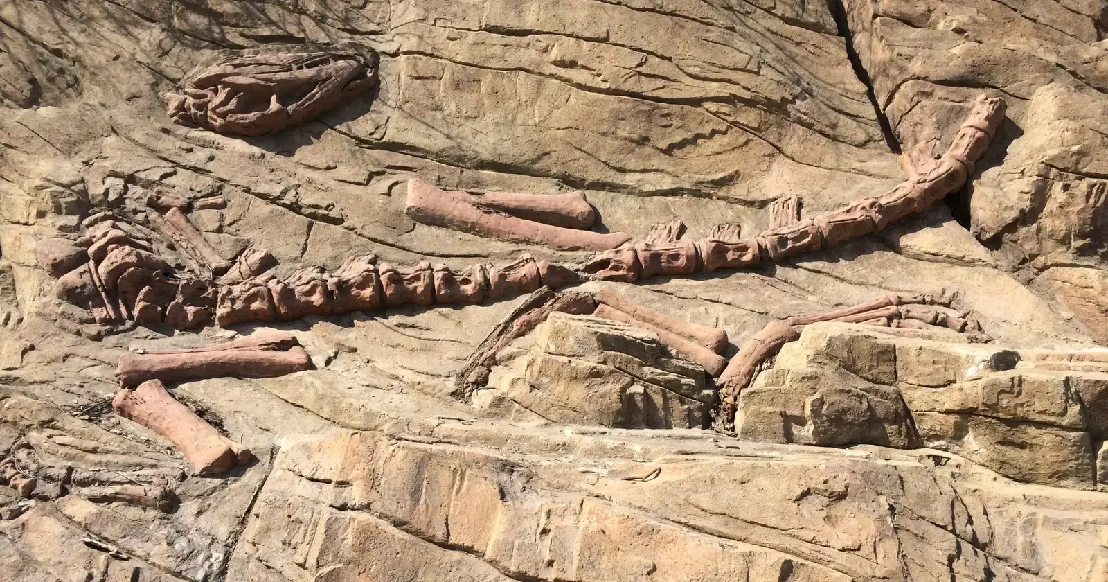 The New Fossil Gold Rush: Why Scams Are Exploding Now (By Guy Courtois, CC BY-SA 4.0)