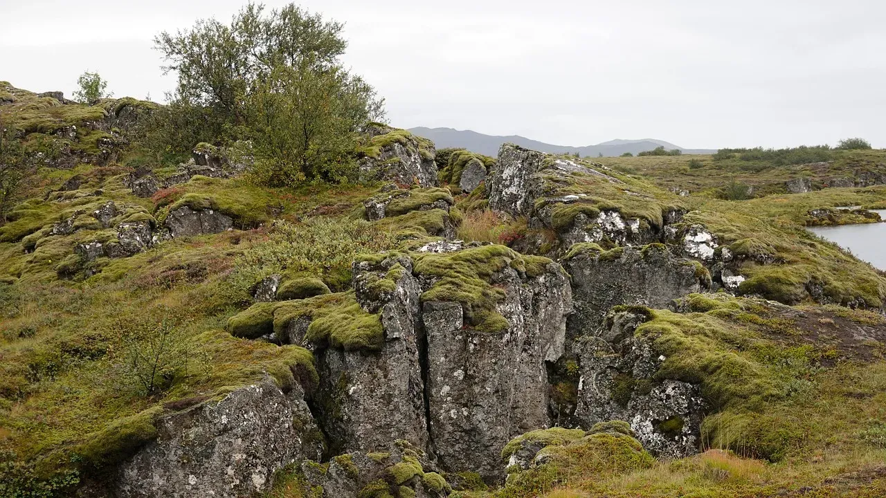How Mountains Are Born: Plate Tectonics In Slow Motion (Image Credits: Pixabay)