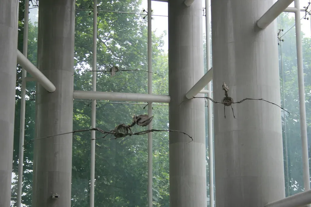 8. The Ceoptera Discovery Proved Advanced Pterosaurs Evolved Far Earlier Than We Thought (Image Credits: Flickr)