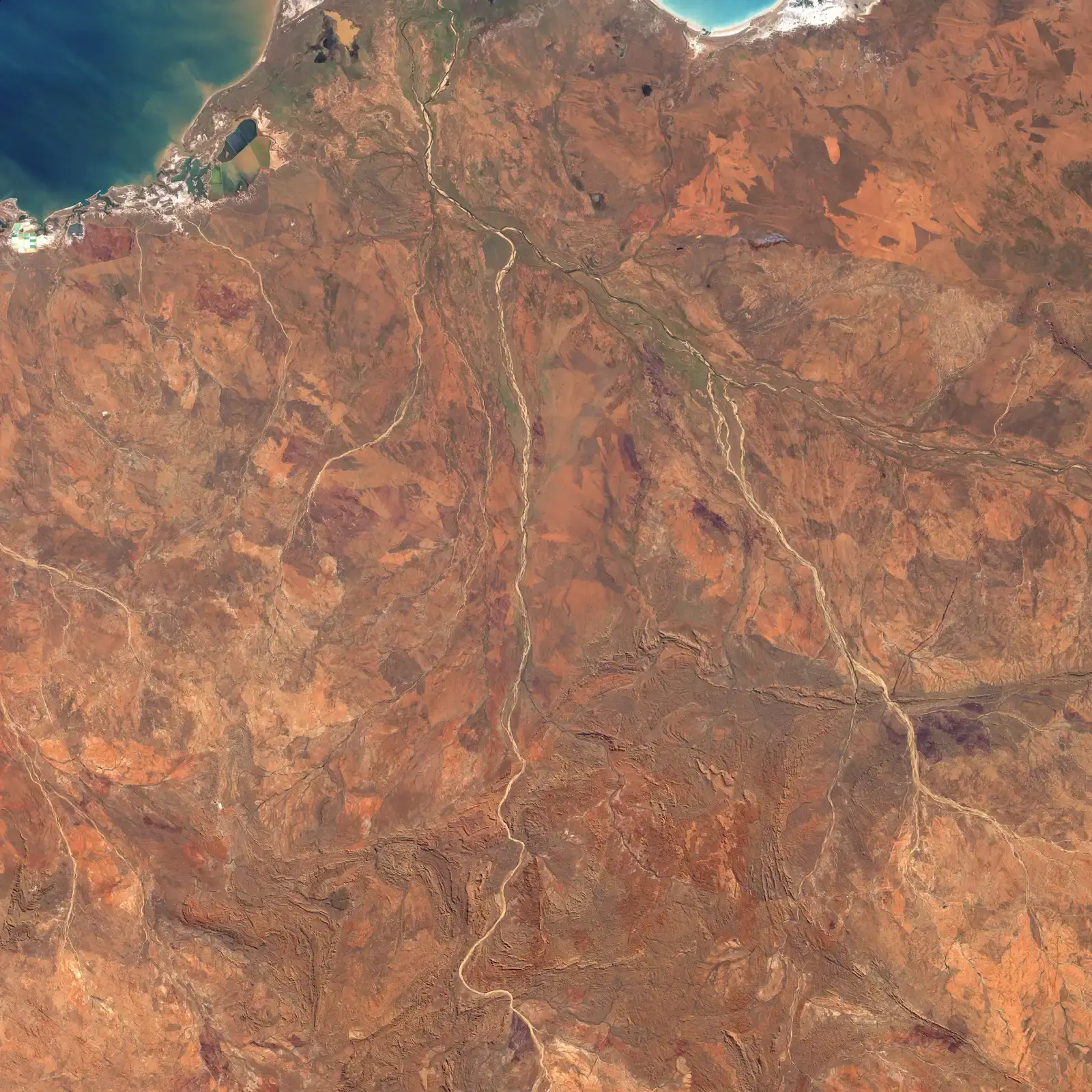 Pilbara Craton: Australia's Ancient Cradle of Life (Image Credits: Wikimedia)