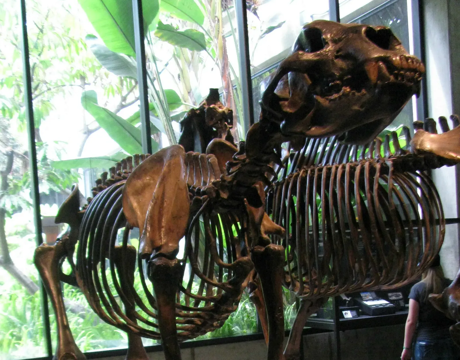 #5 - Its Top Speed Was Wildly Overstated (Image Credits: Wikimedia)