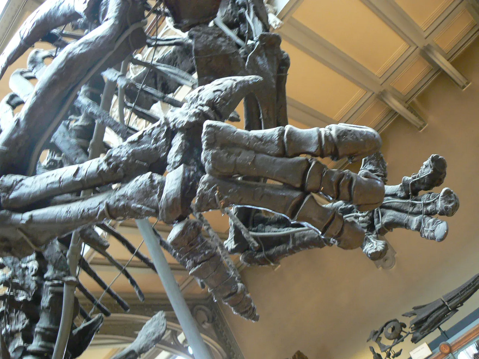 #8 - Iguanodon's Thumb Spike Was a Horn on Its Nose (took the foto on the "Muséum national d'Histoire naturelle, Paris", Public domain)