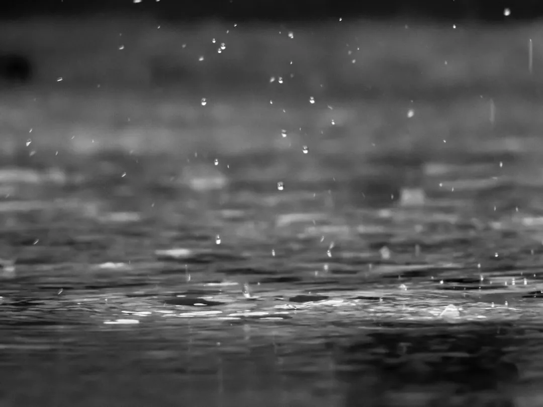 The Strange Popularity of Sleeping to Fake Rain (Image Credits: Unsplash)