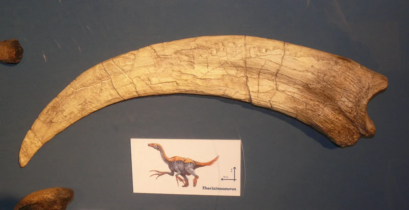 The Long Scientific Argument That Turned Into a Success Story (By Haplochromis, CC BY-SA 3.0)