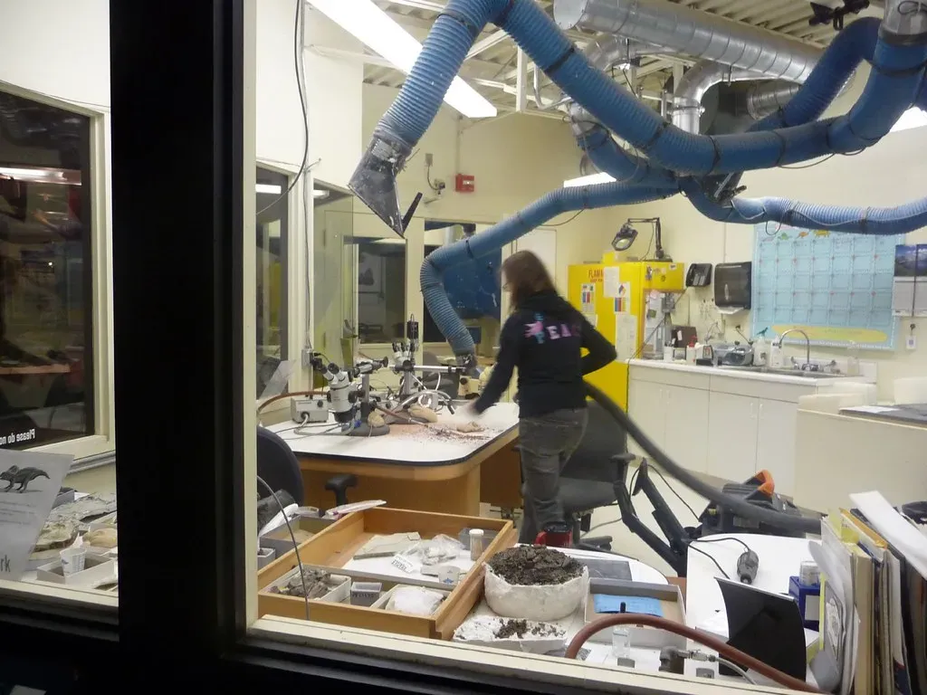 How Technology Turns New Sites Into Deeper Insights (cyanocorax, Flickr, CC BY-SA 2.0)