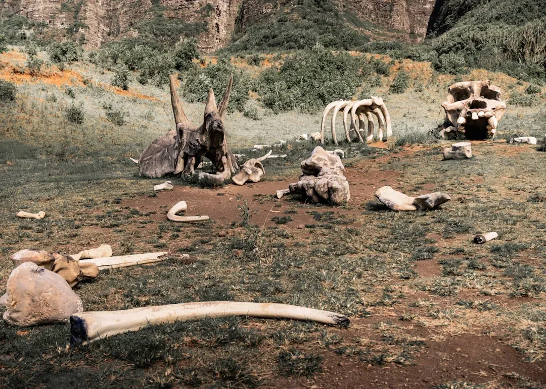 You Are Looking at Kill Sites, Not Just Fossil Graveyards (Image Credits: Unsplash)