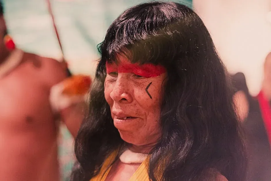 Shifting Baselines and the Danger of Forgetting What Was Once There (Image Credits: Pexels)