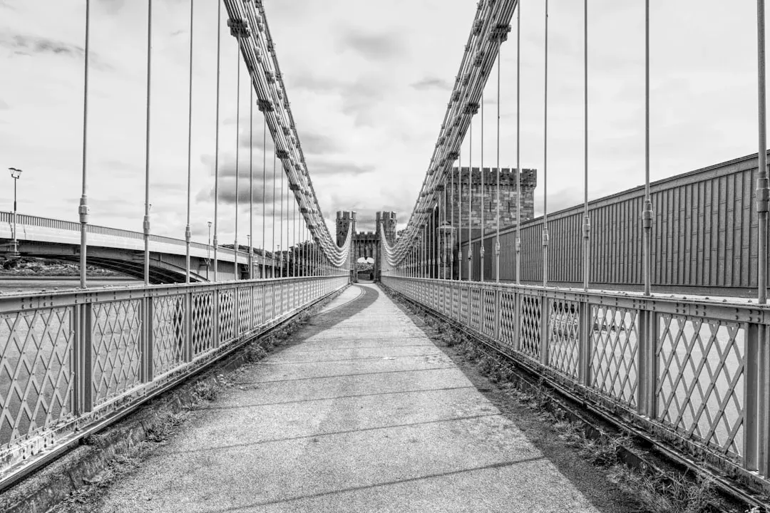 #13 - It Was Actually the First Eyebar Suspension Bridge in America - And That Innovation Killed It (Image Credits: Unsplash)