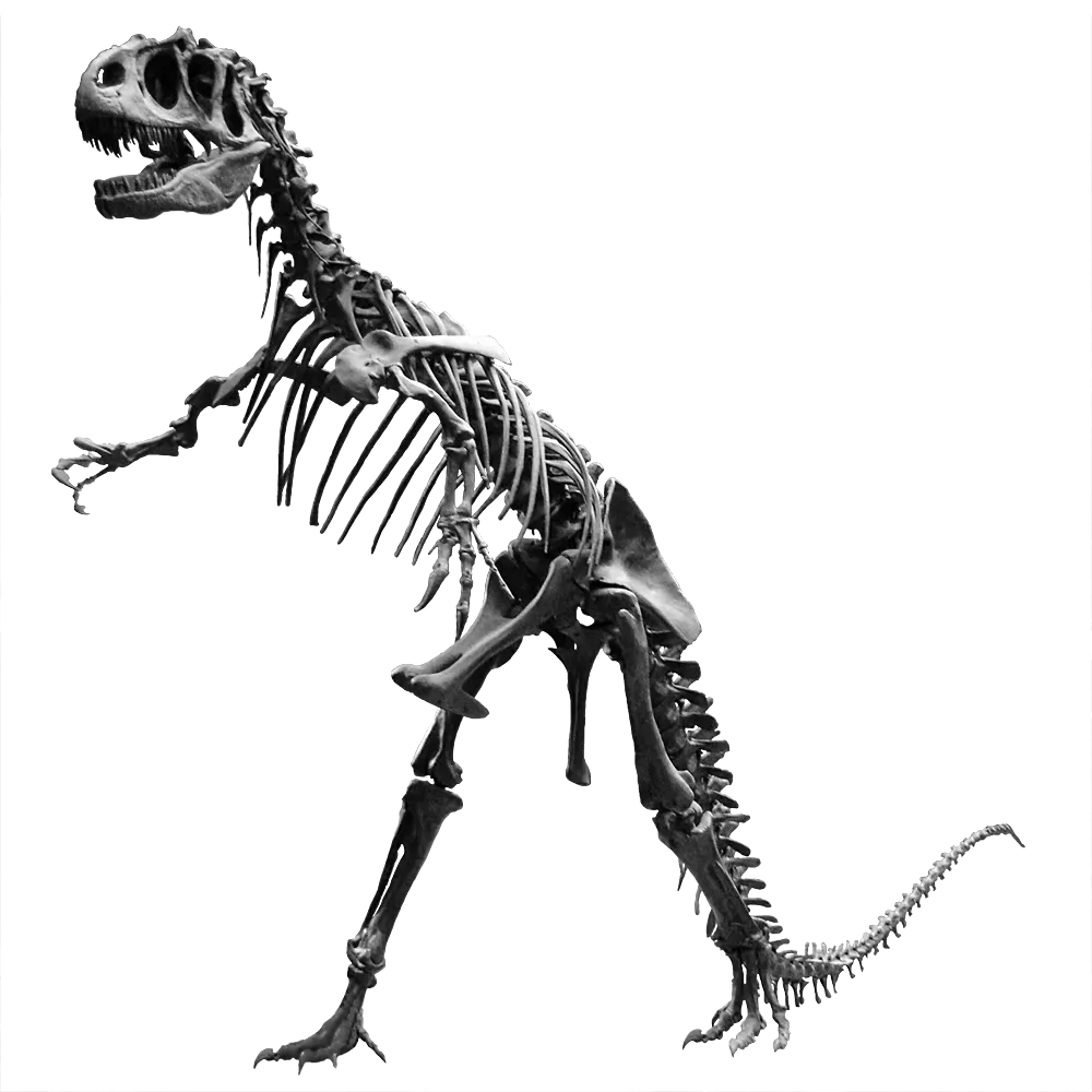 What These Awkward Poses Reveal About How We Imagine Dinosaurs (Own work, formerly uploaded on WP-fr, CC BY-SA 1.0)