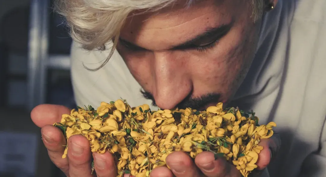 Why Smell, Specifically, Became Evolution’s Early Warning System (Image Credits: Unsplash)