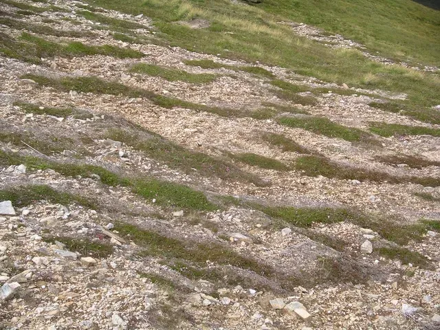 #10 Vegetation Patterns: Streaks, Bands, and Gaps (From geograph.org.uk, CC BY-SA 2.0)