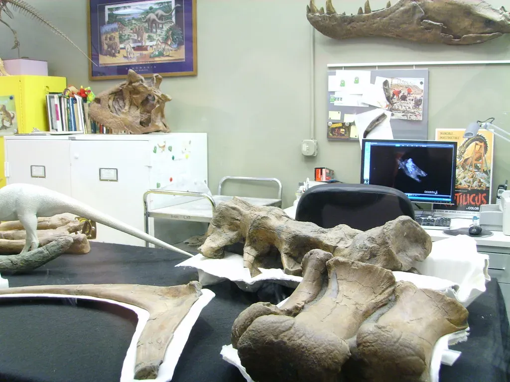 Technology Is Transforming What Fossils Can Tell You (Image Credits: Flickr)