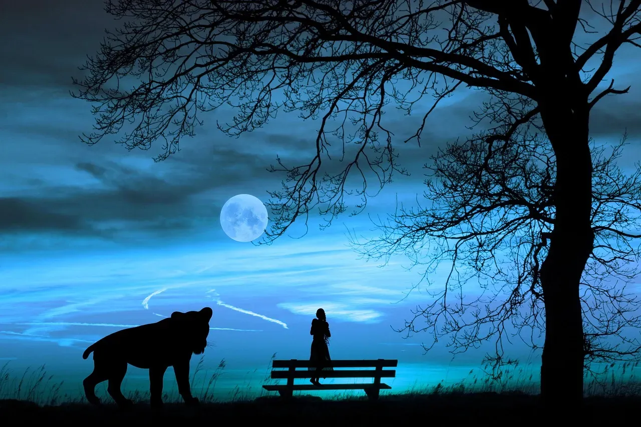 The Hidden Language of Your Inner World (Image Credits: Pixabay)