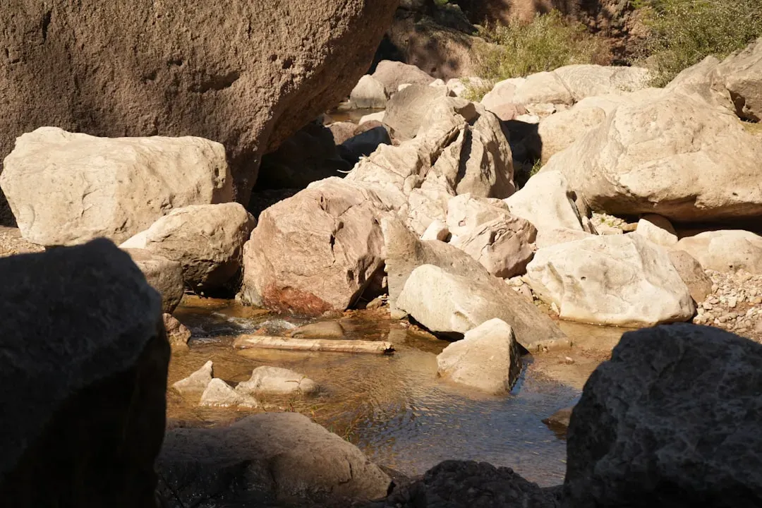 #9 - They Knew How to Find, Move, and Purify Water (Image Credits: Unsplash)