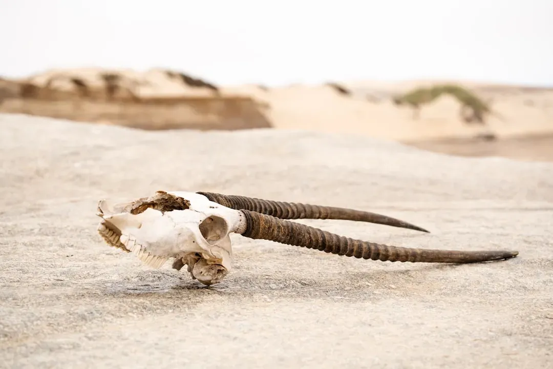 What Is Driving This New Wave of Loss? (Image Credits: Unsplash)