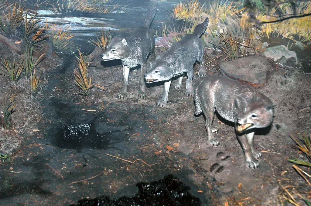 The Predators Who Followed Prey: Carnivores Cross Continents (Image Credits: Flickr)