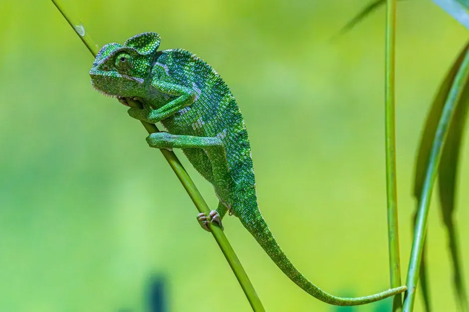 12. Animals Adapted Dramatically to Their Specific Habitats (Image Credits: Pexels)