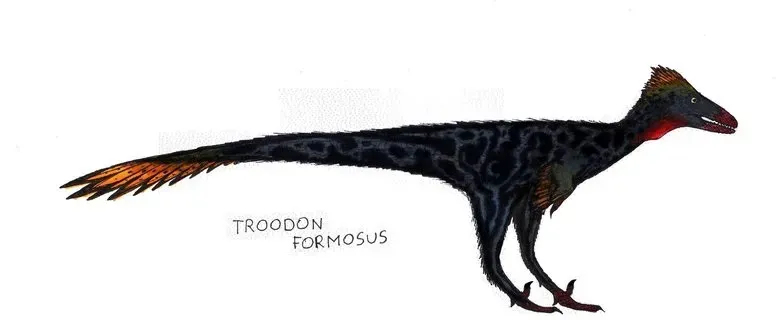 Troodon: North America's Brainiest Dinosaur (Image Credits: Wikimedia)