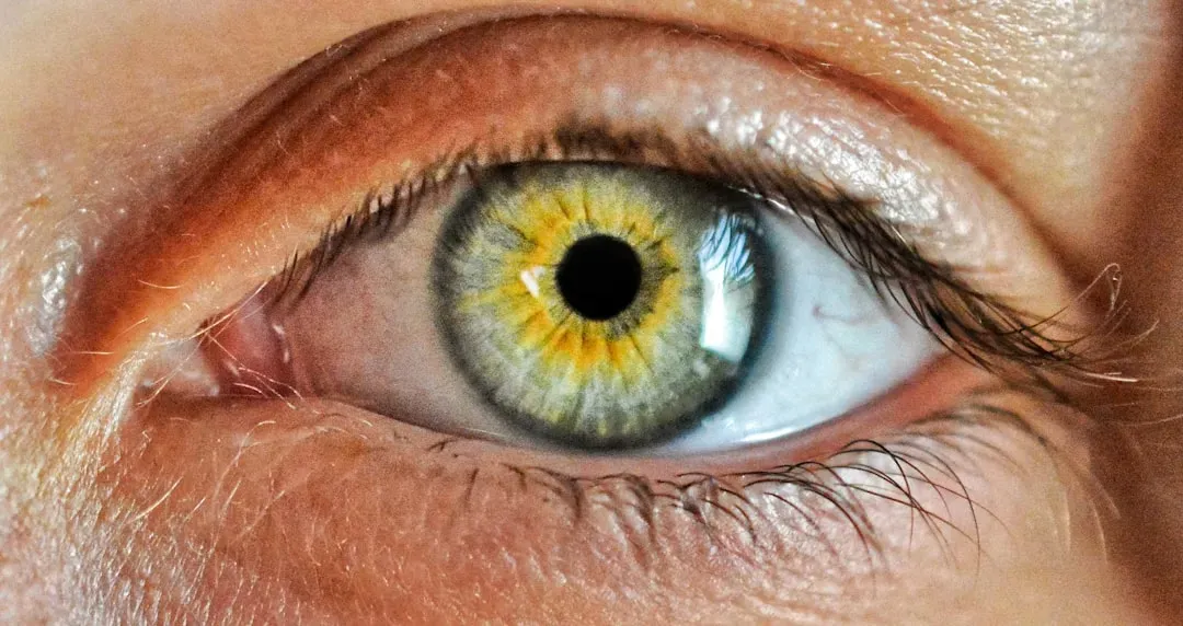 #4 - The Human Eye Has a Design Flaw That Fish Don't Have (Image Credits: Unsplash)