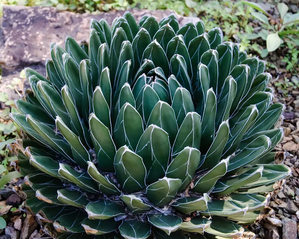 Conclusion (AlanH2O, Flickr, CC BY-SA 2.0)