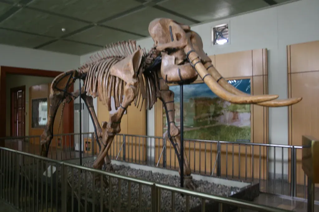 #11 - Extinction Wasn't a Single, Simple Cause (Image Credits: Flickr)