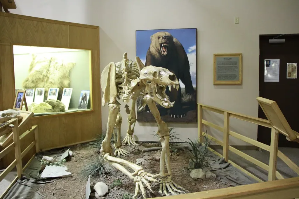 #13 - Short-Faced Bears Hanging On Longer Than Expected (wallheater, Flickr, CC BY 2.0)