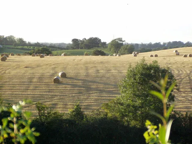 #9 Till and Drumlins: The Chaotic Debris and the Streamlined Hills (From geograph.org.uk, CC BY-SA 2.0)