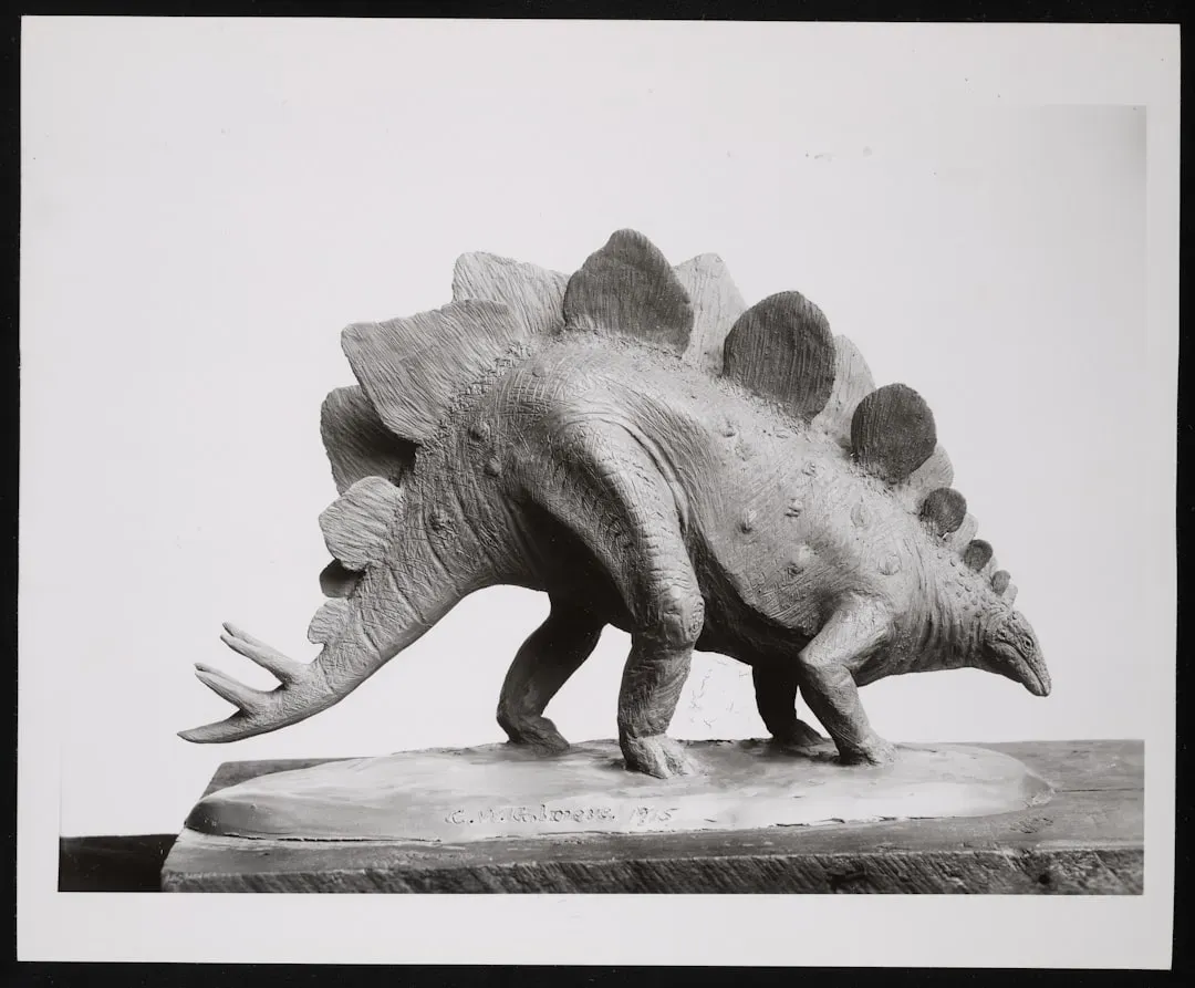 The Stegosaurus With a Brain in Its Butt (And Way Too Many Plates) (Image Credits: Unsplash)