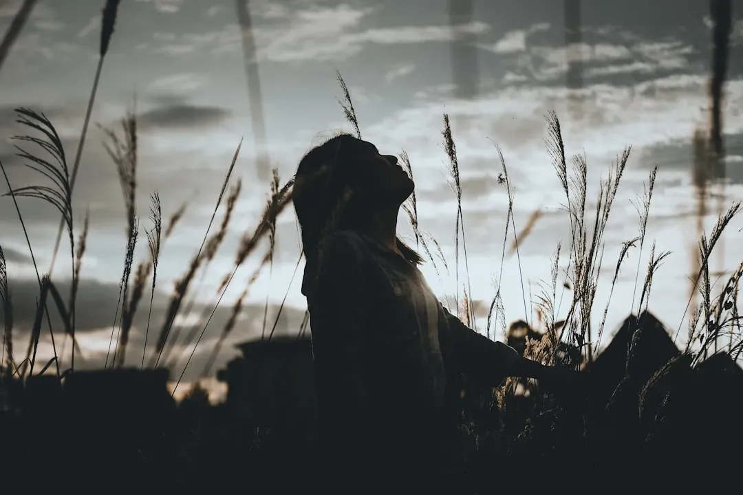 Why “above you” feels especially urgent to the nervous system (Image Credits: Unsplash)