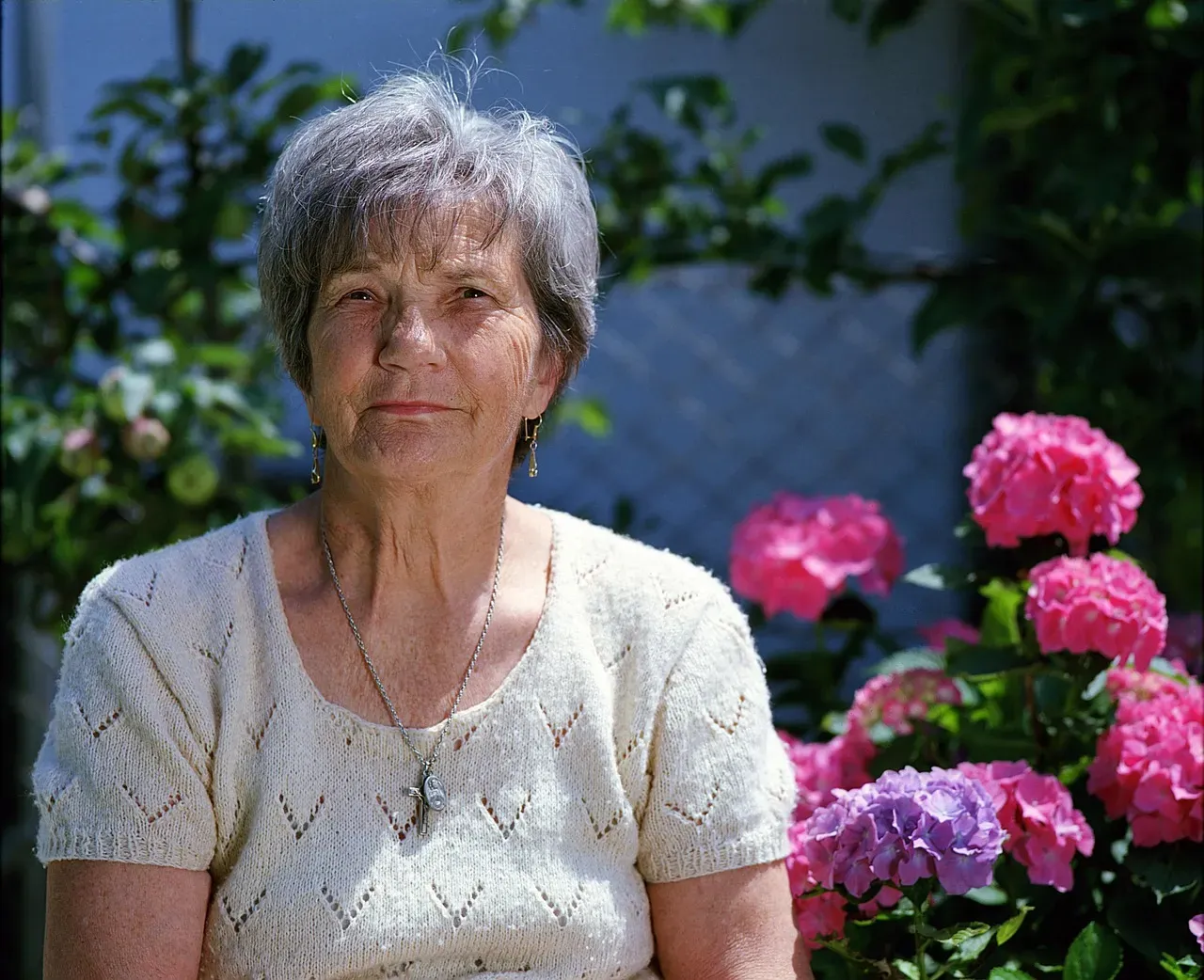 #21 - The Mystery of Menopause (Image Credits: Pixabay)