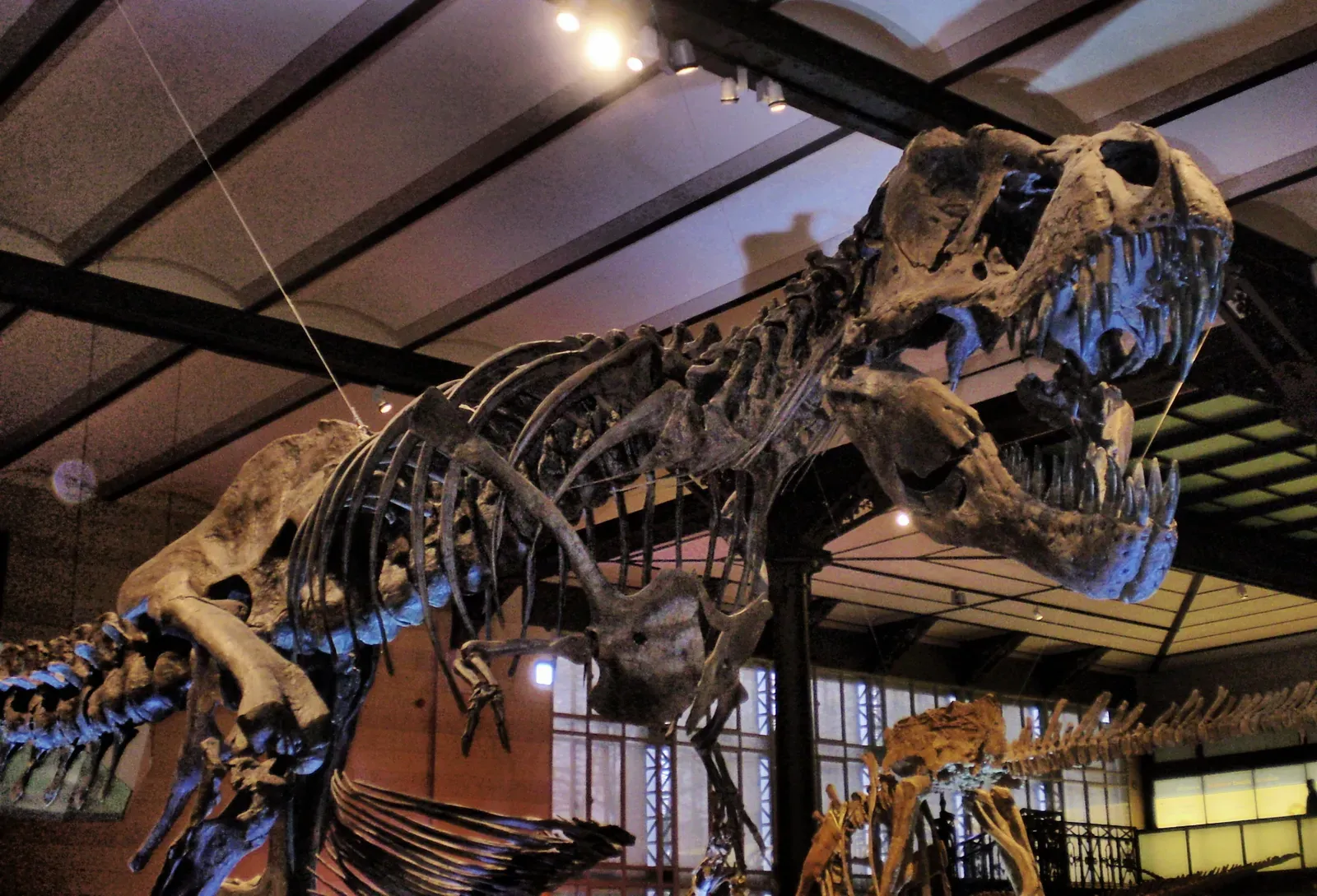 The Science Behind the Social Theory: Multiple Lines of Evidence (By Ben2, CC BY-SA 3.0)